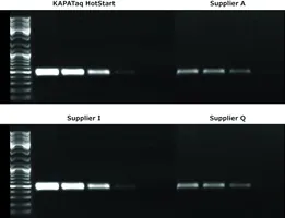 Merck KAPA Taq HotStart