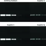 Merck KAPA Taq ReadyMix with dye