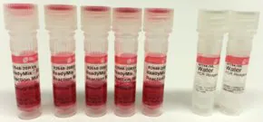 Merck REDTaq ReadyMix PCR Reaction Mix