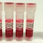 Merck REDTaq ReadyMix PCR Reaction Mix