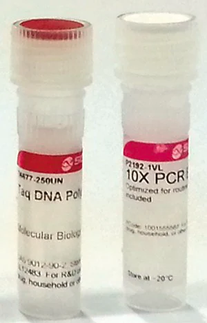 Merck Taq DNA Polymerase from Thermus aquaticus