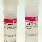 Merck Taq DNA Polymerase from Thermus aquaticus