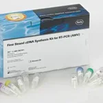 Merck First Strand cDNA Synthesis Kit for RT-PCR (AMV)