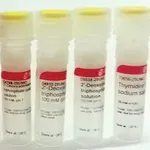 Merck Deoxynucleotide Set, 100 mM