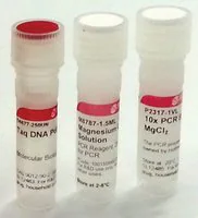 Merck Taq DNA Polymerase from Thermus aquaticus