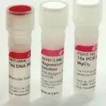 Merck Taq DNA Polymerase from Thermus aquaticus