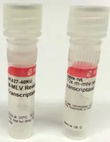 Merck M-MLV Reverse Transcriptase