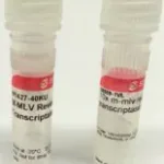 Merck M-MLV Reverse Transcriptase