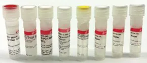 Merck PCR Core kit with Taq DNA polymerase