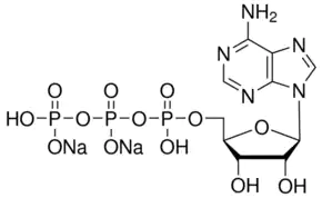 Merck Adenosine 5′-triphosphate disodium salt solution