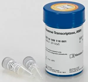 Merck Reverse Transcriptase AMV
