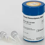 Merck Reverse Transcriptase AMV