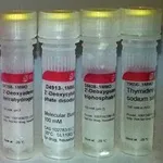 Merck Deoxynucleotide Set, 100 mM