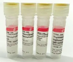 Merck Deoxynucleotide Set, 10 mM