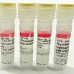 Merck Deoxynucleotide Set, 10 mM