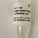 Merck Single-strand Binding Protein from Escherichia coli