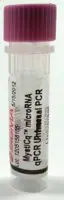 Merck MystiCq Universal PCR Primer