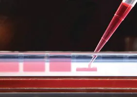 Merck JumpStart REDAccuTaq LA DNA Polymerase