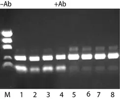 Merck JumpStart REDTaq DNA Polymerase