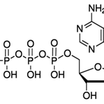 Merck 2′-Deoxyadenosine 5′-triphosphate sodium salt solution