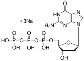 Merck 2′-Deoxyguanosine 5′-triphosphate trisodium salt solution