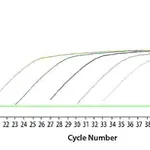 Merck SYBR Green JumpStart Taq ReadyMix for Quantitative PCR, Capillary Formulation