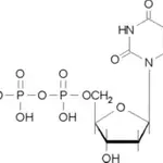 Merck Thymidine 5′-triphosphate sodium salt solution