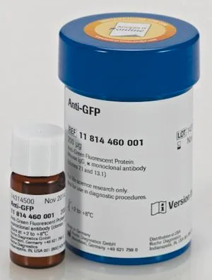 Merck Anti-GFP