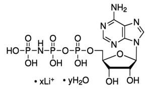 Merck AMP-PNP
