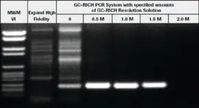 Merck GC-RICH PCR System, dNTPack