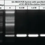 Merck GC-RICH PCR System, dNTPack