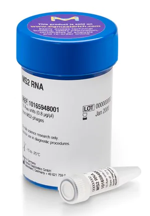 Merck RNA, MS2