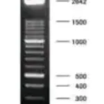 Merck DNA Molecular Weight Marker XIV (100 bp ladder)
