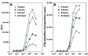Merck Cell Proliferation ELISA, BrdU (chemiluminescent)