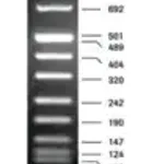 Merck DNA Molecular Weight Marker VIII