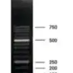 Merck DNA Molecular Weight Marker XIII (50 bp ladder)