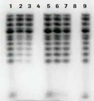 Merck mini Quick Spin DNA Columns