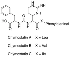 Merck Chymostatin