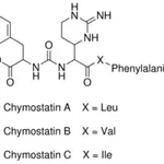 Merck Chymostatin