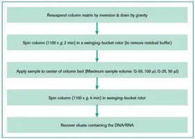 Merck Quick Spin Columns for radiolabeled RNA purification