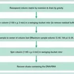 Merck Quick Spin Columns for radiolabeled RNA purification