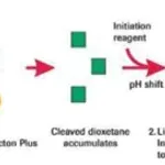 Merck β-Gal Reporter Gene Assay, chemiluminescent