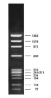 Merck DNA Molecular Weight Marker IX