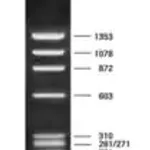 Merck DNA Molecular Weight Marker IX