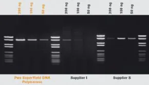 Merck Pwo SuperYield DNA Polymerase, dNTPack