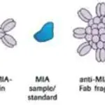 Merck MIA ELISA