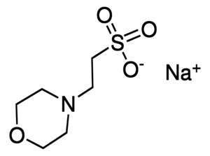 Merck MES sodium salt