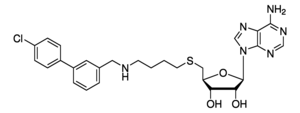 Merck SGC8158