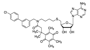 Merck SGC3027