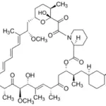Merck Rapamycin from Streptomyces hygroscopicus